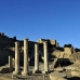 temple_habu_lux_v_0177_egy2434.jpg